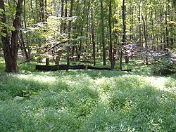 Large trap array for an 